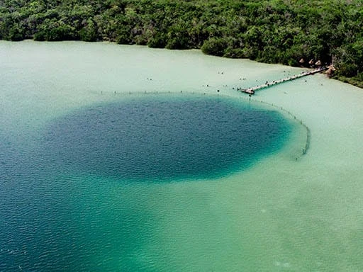 Freedive in Cancun and Tulum