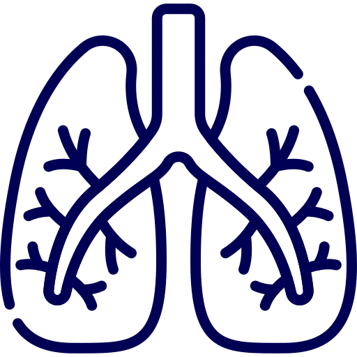 Lungs