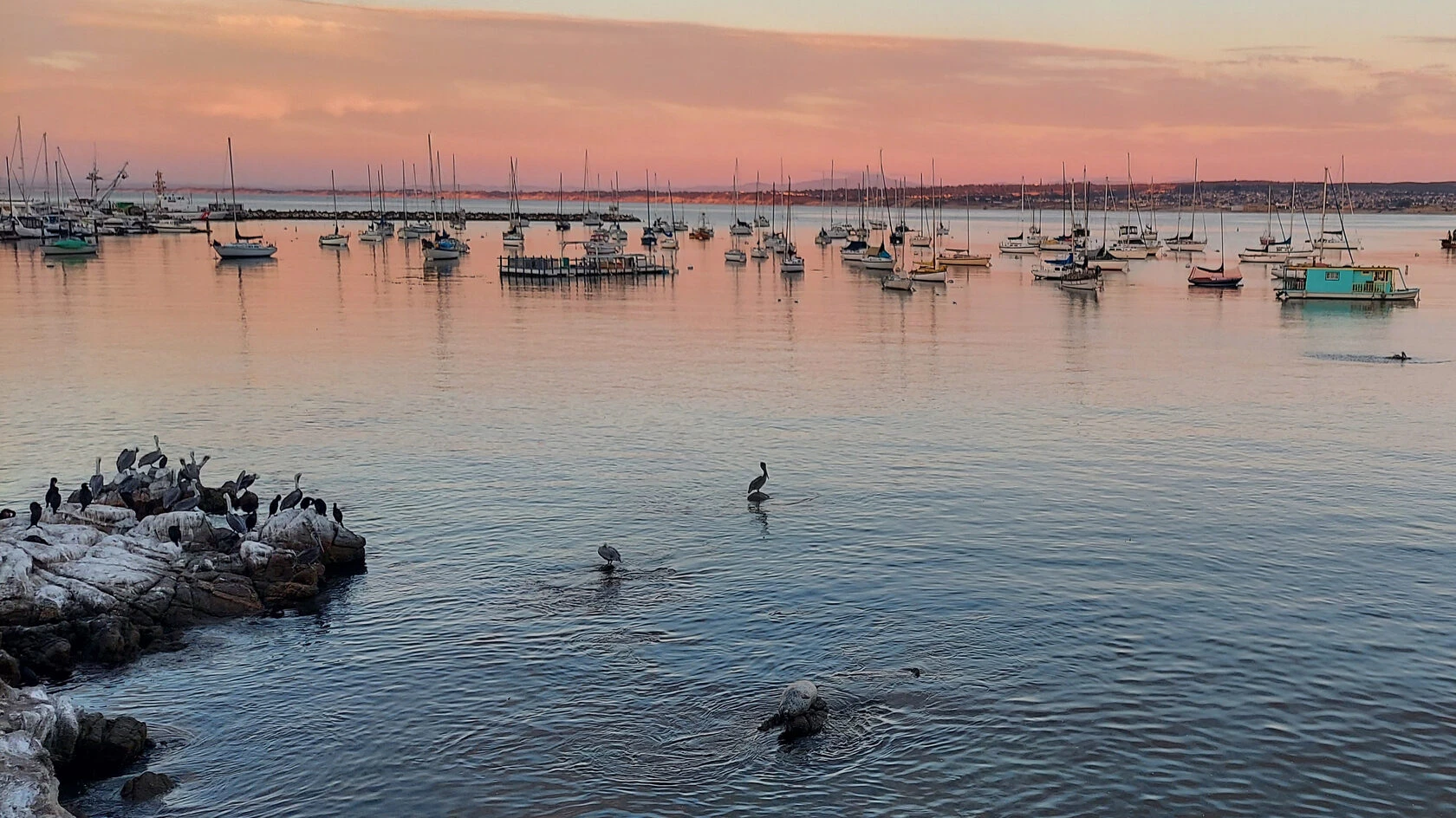 Monterey Bay