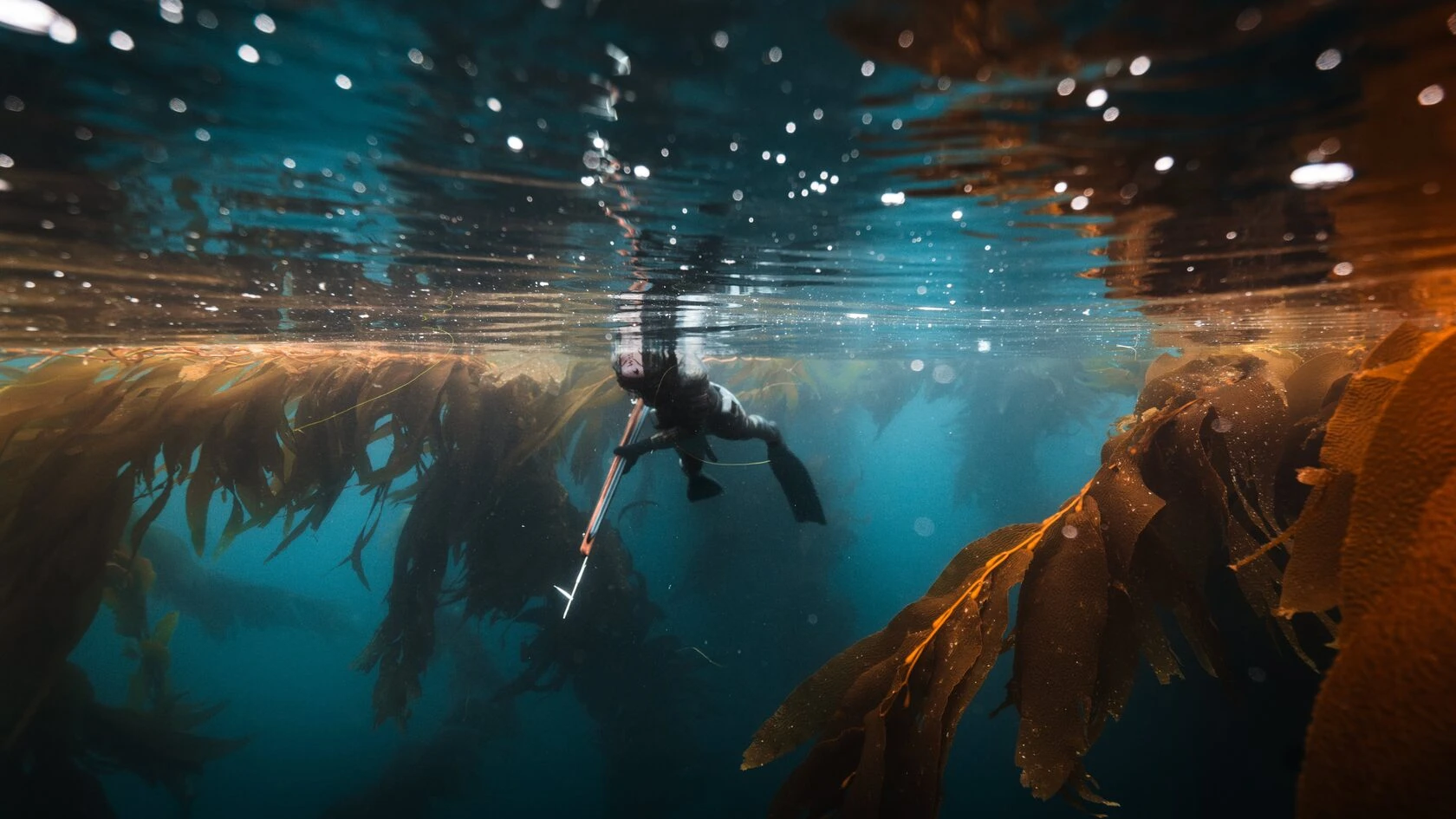 Spearfishing