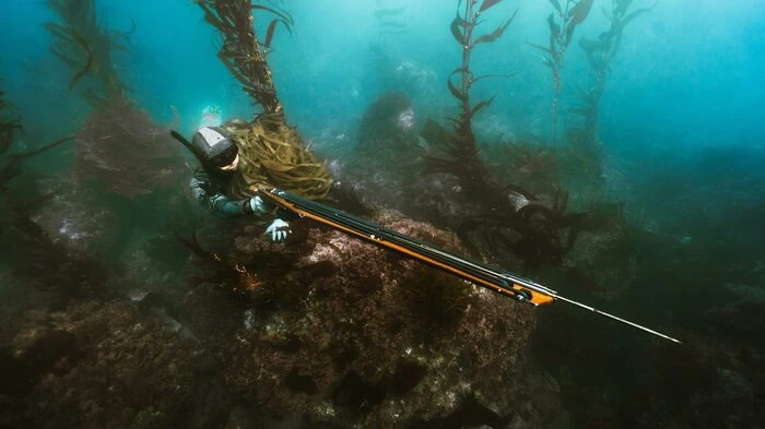 Spearfishing